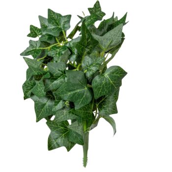 Borostyán bokor 26cm