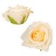 Polifoam nyílt rózsafej D8cm M5,5cm 12db-os