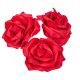 Polifoam nyílt rózsafej RED D8cm 12db-os (csom ár)