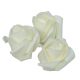 Polifoam nyílt rózsafej CR D6cm 12db-os (csom ár)