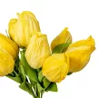 Tulipán köteg papír 9v. mix M35cm 12db/#
