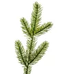 Fenyőpick köteg 12 ággal M24cm