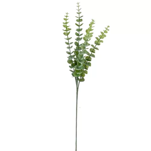 Eukaliptusz ág flokkolt 84cm