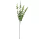Eukaliptusz ág flokkolt 84cm