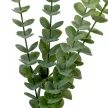 Eukaliptusz ág flokkolt 84cm