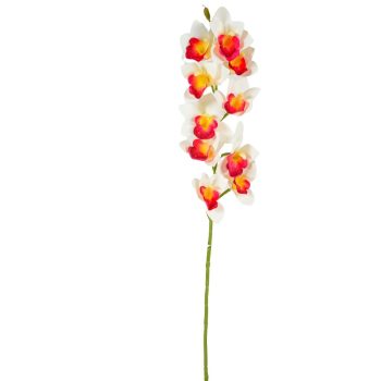 Orchidea ág gumi bordó-krém 77cm
