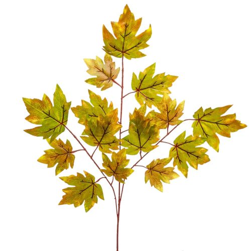 Szőlő leves ág M74cm 12db/köteg