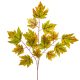 Szőlő leves ág M74cm 12db/köteg