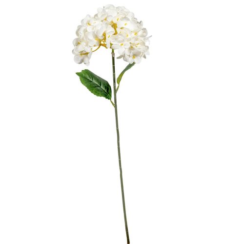 Hortenzia szálas krém M58cm 48db/#