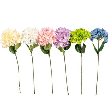 Hortenzia szálas mix M58cm 48db/#