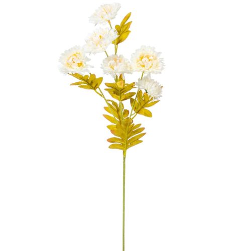 Dália ág kócos 6v. krém M60cm 48db/#