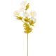 Dália ág kócos 6v. krém M60cm 48db/#