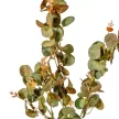 Eukaliptusz ág mix M78cm 24db/#