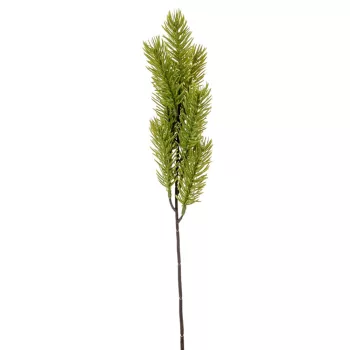 Fenyő ág M44cm