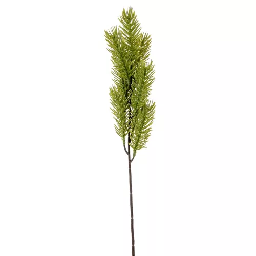 Fenyő ág M44cm