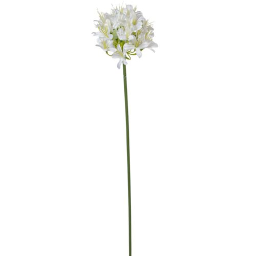 Szerelemvirág szálas krém 74cm