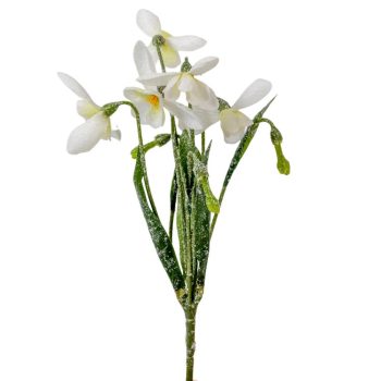 Hóvirág pick M30cm 24db/#