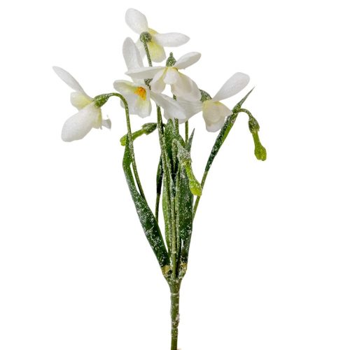 Hóvirág pick M30cm 24db/#