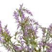 Levendula bokor 7ág M32cm 48db/#