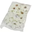 Mikulásvirág fej krém D13,5cm 24db/csom