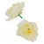 Angyalrózsa virágfej D6cm ivory 24db/csom 288db/#