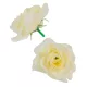 Angyalrózsa virágfej D6cm ivory 24db/csom 288db/#