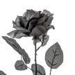 Rózsa szálas fekete M65cm 36db/#