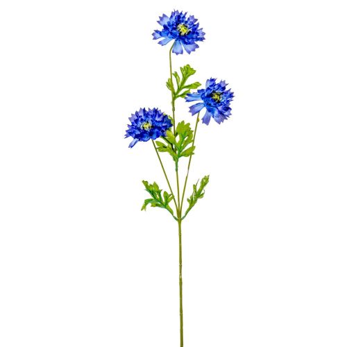 Búzavirág szálas 3 virágos 70cm