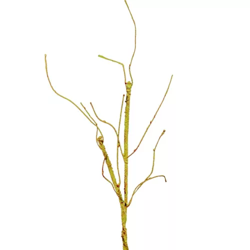 Mohás ág zöld M55cm 60db/#
