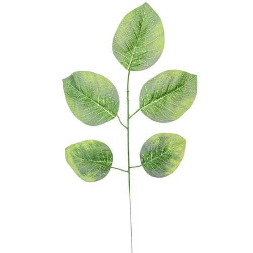 Leveles ág M56cm 12db/köteg
