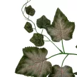 Szőlő leveles ág 62cm