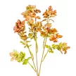 Leveles ág mix M48cm 144db/#