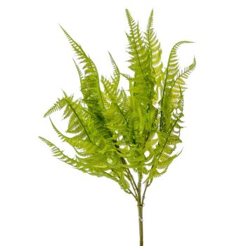 Páfrány bokor 7 ágú 46cm