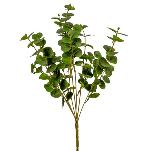 Eukaliptusz bokor 7ágú zöld M46cm 30db/#
