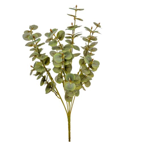 Eukaliptusz bokor 7ágú  világos zöld M46cm 30db/#