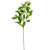 Fikusz ág zöld M78cm 24db/#