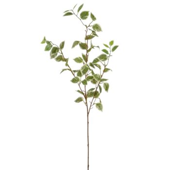 Fikusz ág M90cm 30db/#