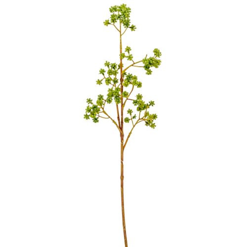Zöld díszítő ág M66cm 24db/#