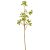 Zöld díszítő ág M66cm 24db/#