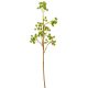 Zöld díszítő ág M66cm 24db/#