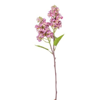 Orgona ág gumi 2 virágos mályva 68cm