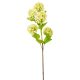 Bangita ág 5v. zöld M76cm 24db/#