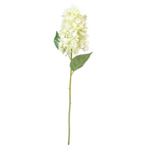 Hortenzia szálas krém M72cm 24db/# 