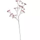 Fátyolvirág szálas lila M62cm 48db/#