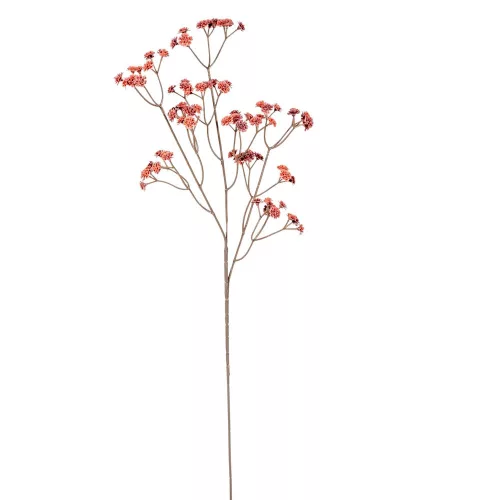 Fátyolvirág szálas bordó M62cm 48db/#