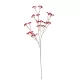 Fátyolvirág szálas piros M62cm 48db/#