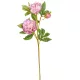 Peoni ág 3 virágos lila 76cm