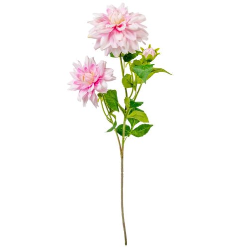 Dália ág 3v. rózsaszín M70cm 24db/#