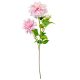 Dália ág 3v. rózsaszín M70cm 24db/#