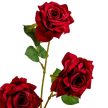 rózsa ág bársony 3v. M80cm 24db/#